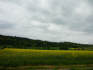 Ackerland