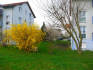 Wohnung